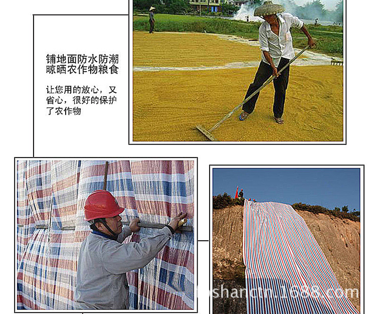 塑料编织彩条布 塑料编织彩条布