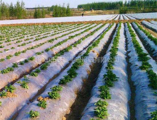农用除草膜 农用除草膜