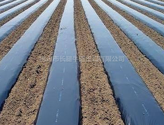 辽宁定制大棚膜厂家