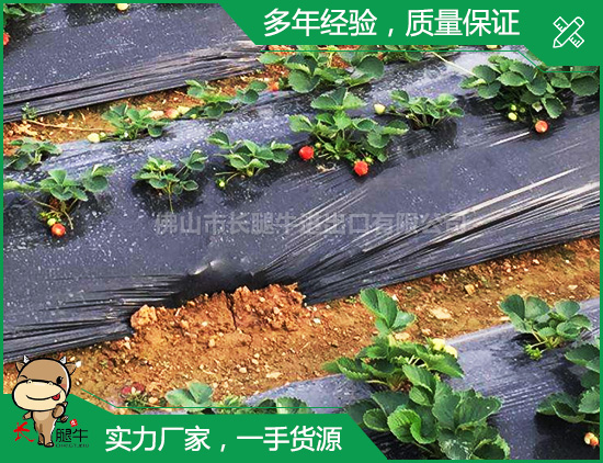 塑料薄膜 塑料薄膜